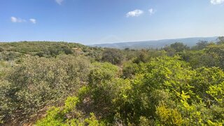 Land for sale in Loulé, Portugal — €50,000