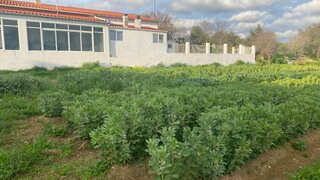 Land for sale in Albufeira, Portugal — €98,000