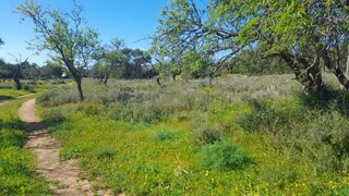 Land for sale in Faro, Portugal — €1,100,000
