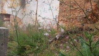 Land for sale in Lagoa, Portugal — €250,000