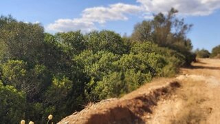 Land for sale in Albufeira, Portugal — €60,000