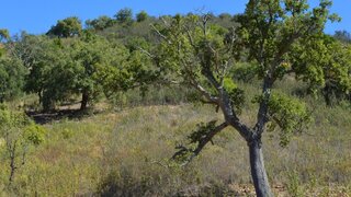 Land for sale in Loulé, Portugal — €105,000