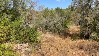 Terreno em Loulé