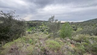 Terreno em Loulé