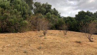 Land for sale in Loulé, Portugal — €150,000