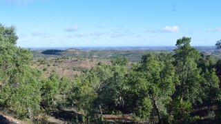 Land for sale in Almodôvar, Portugal — €600,000