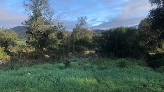 Terreno de 15 640 m² em Loulé