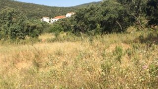 Land for sale in Loulé, Portugal — €25,000