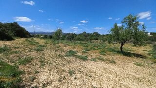Terreno em Faro · 5080 m² · 43 000 €