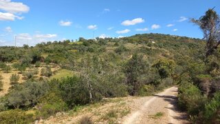 Terreno de 12 480 m² em Faro