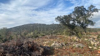 Land for sale in Loulé, Portugal — €30,000