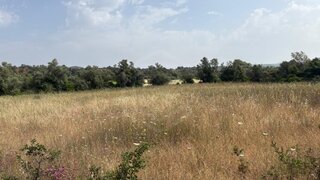 Land for sale in Loulé, Portugal — €50,000