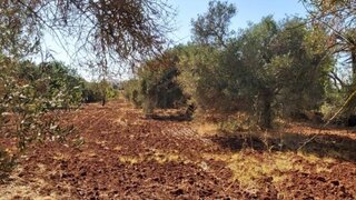 Terreno em Albufeira