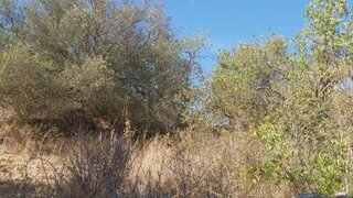 Land for sale in Albufeira, Portugal — €50,000