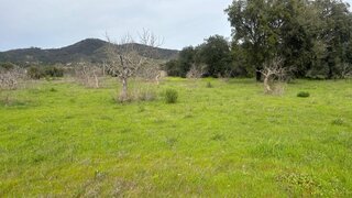 Land for sale in Loulé, Portugal — €25,000
