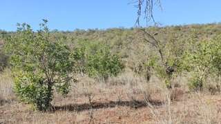 Land for sale in Loulé, Portugal — €30,000