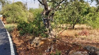 Terreno · 1300 m² · 299 000 €