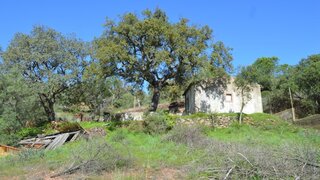 Land for sale in São Brás de Alportel, Portugal — €320,000
