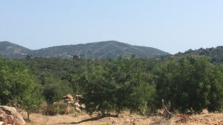 Land for sale in São Brás de Alportel, Portugal — €250,000