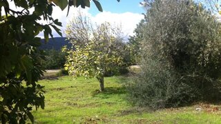 Land for sale in Loulé, Portugal — €180,000