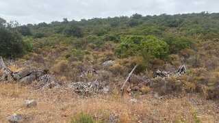 Land for sale in Loulé, Portugal — €70,000
