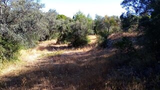 Land for sale in Loulé, Portugal — €55,000