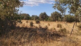 Land for sale in Albufeira, Portugal — €150,000