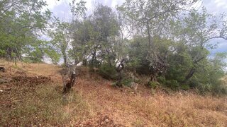 Land for sale in Loulé, Portugal — €20,000