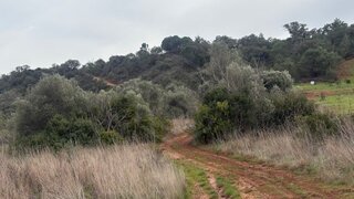Land for sale in Loulé, Portugal — €18,000
