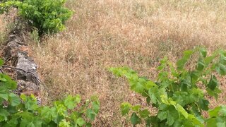 Land for sale in Loulé, Portugal — €15,000