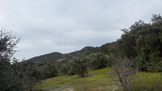 Land for sale in Loulé, Portugal — €25,000