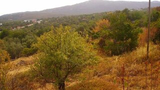 Land for sale in São Brás de Alportel, Portugal — €1,000,000