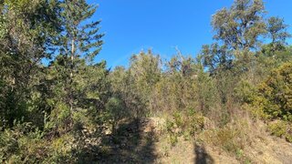 Land for sale in Loulé, Portugal — €20,000