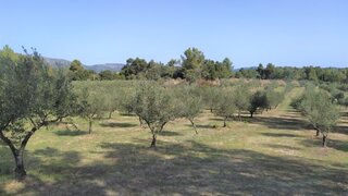 Land for sale in Fundão, Portugal — €205,000