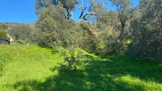 Land for sale in Loulé, Portugal — €25,000