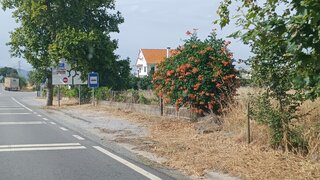 Terreno em Castelo Branco · 12 000 m² · 750 000 €