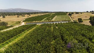 Terreno de 106 000 m² em Castelo Branco