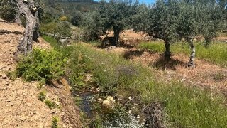 Terreno de 440 m² em Castelo Branco