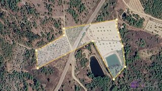 Terreno de 17 202 m² em Castelo Branco