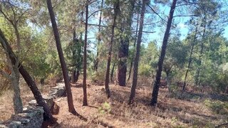 Terreno de 1400 m² em Castelo Branco