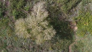 Land for sale in Pinhel, Portugal — €25,000