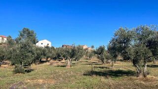 Terreno em Castelo Branco · 3760 m² · 13 800 €