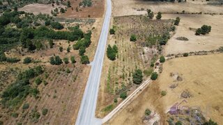 Land for sale in Pinhel, Portugal — €25,000