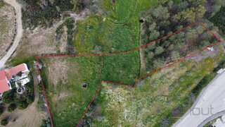 Land for sale in Proença-a-Nova, Portugal — €15,000