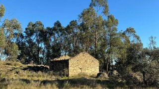 Terreno de 103 000 m² em Castelo Branco