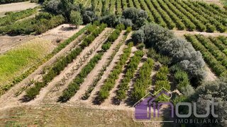 Land for sale in Fundão, Portugal — €87,000