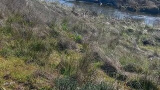 Land for sale in Penamacor, Portugal — €59,000