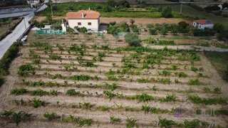 Land for sale in Pinhel, Portugal — €28,700