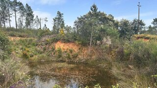 Terreno de 80 m² em Castelo Branco