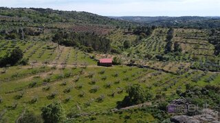 Land for sale in Pinhel, Portugal — €38,000